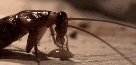 20240218_100028_007.jpg