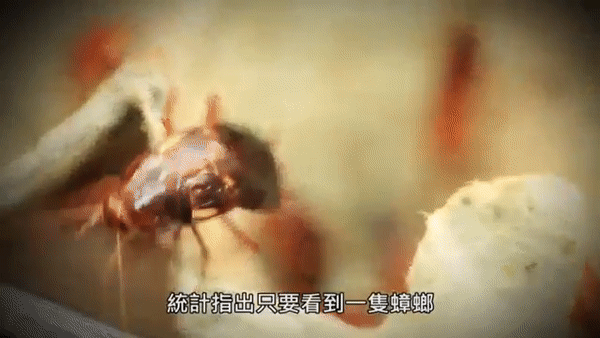 20240218_100028_009.gif