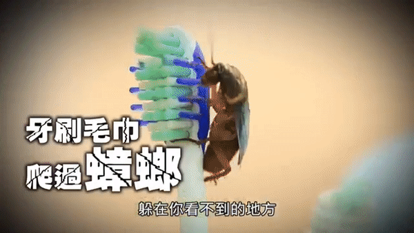 20240218_100028_010.gif